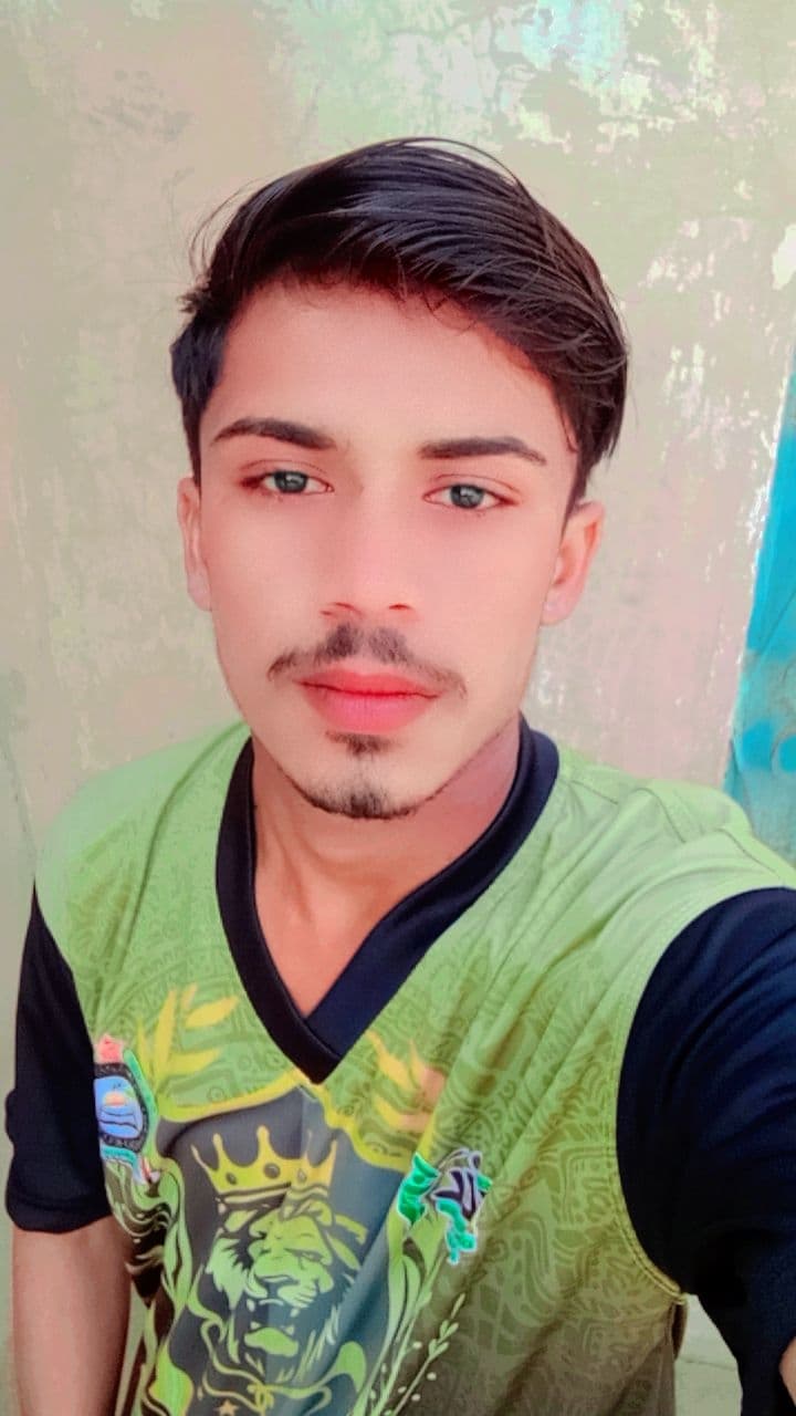 Zamin