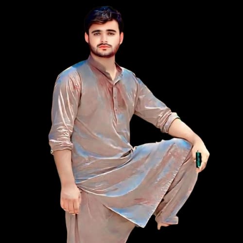 HAMID MALIK