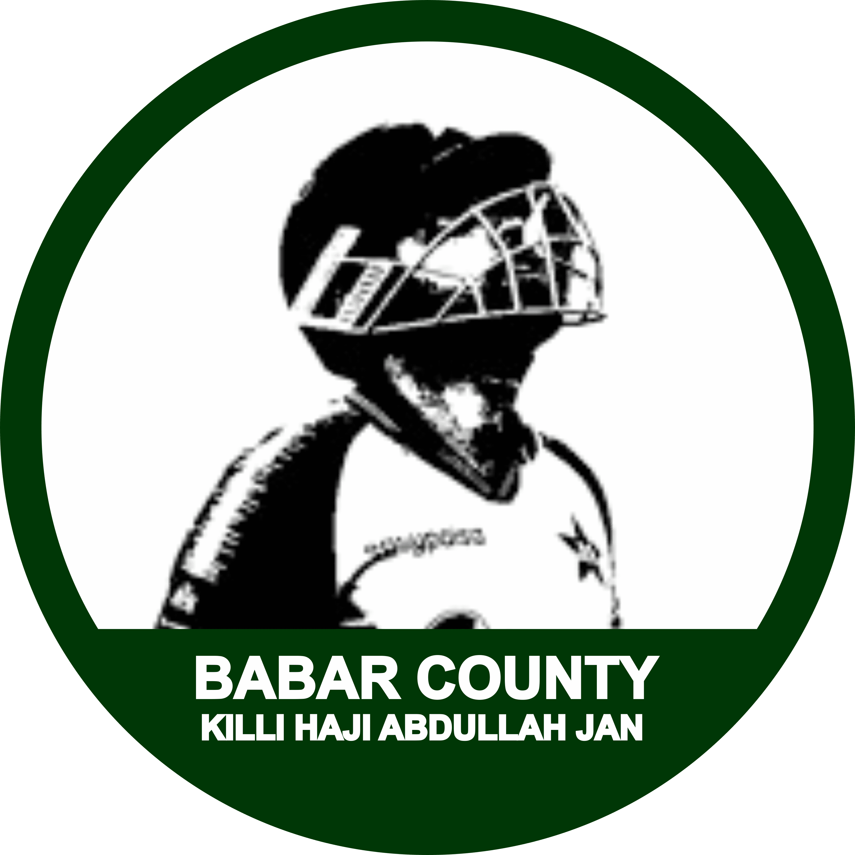 Babar County team logo