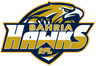 Bahria Hawks