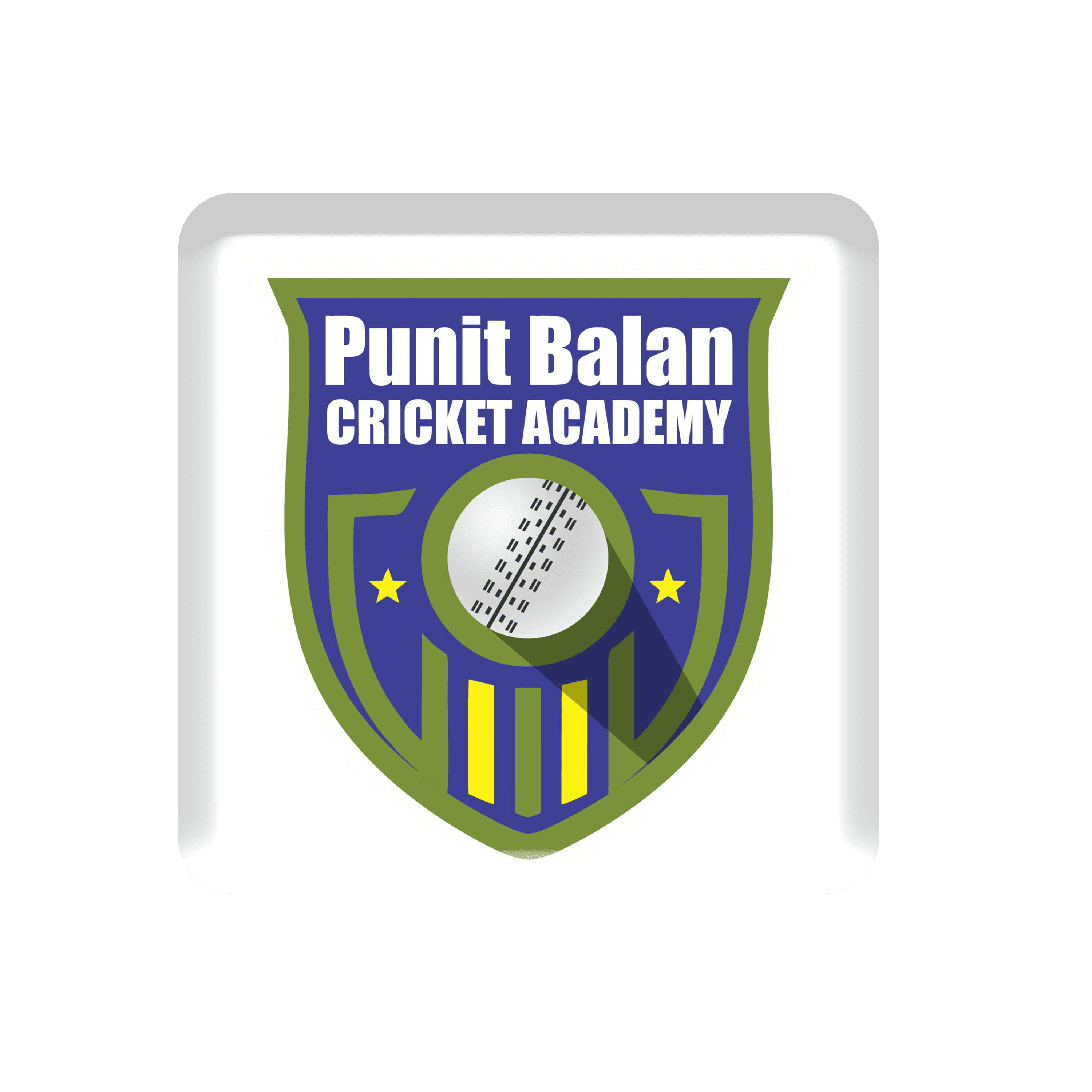 Punit Balan Cricket Academy team logo