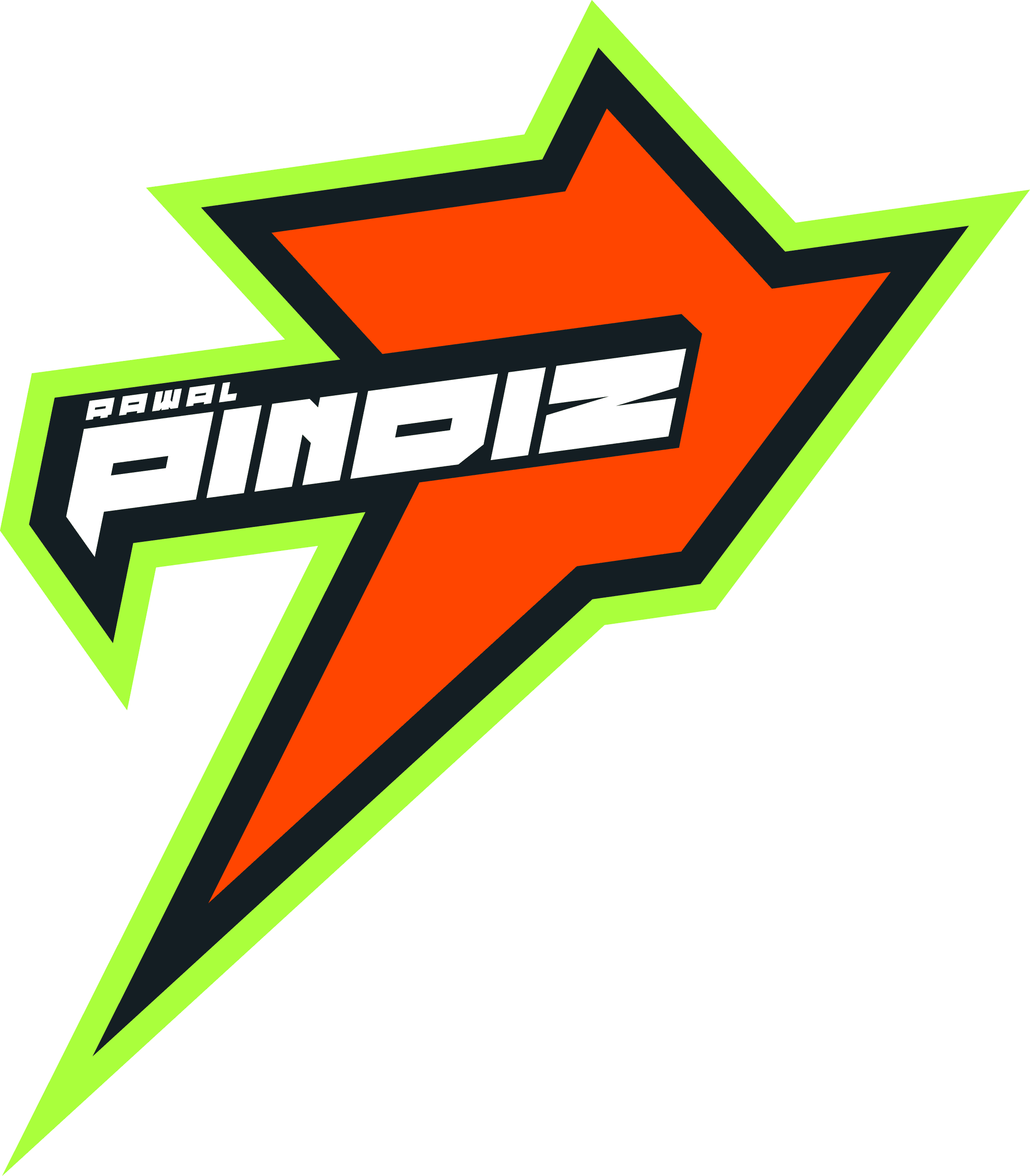 Rawalpindiz team logo