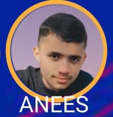 Anees