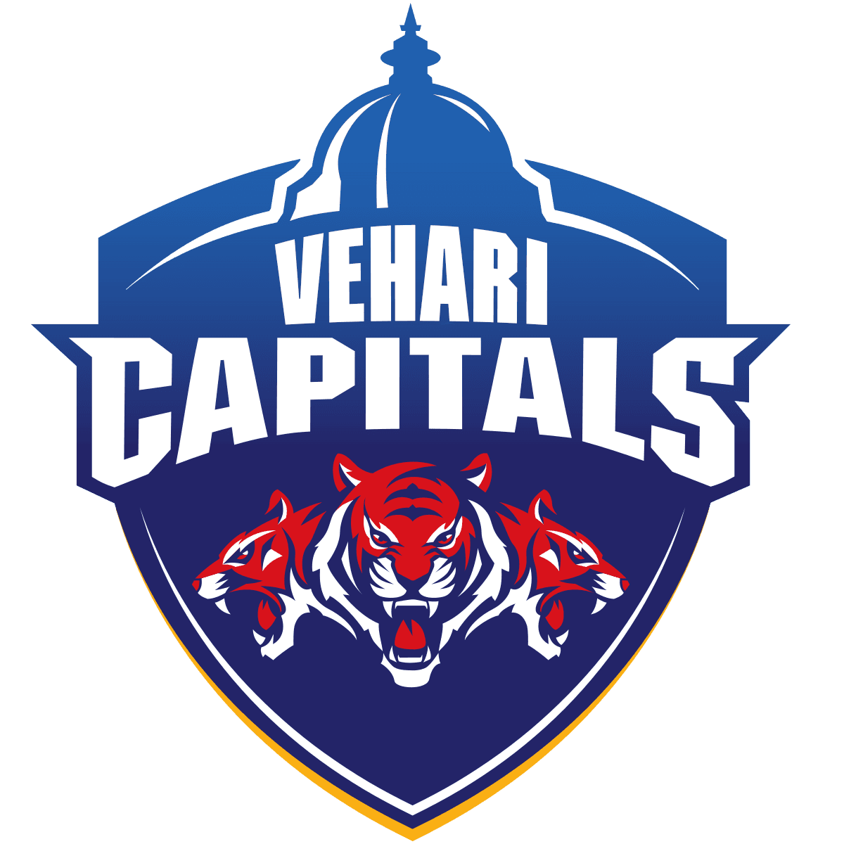 Vehari Capitals