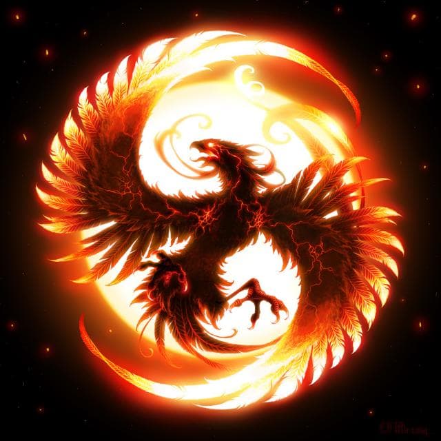 Phoenix Cricket Club team logo