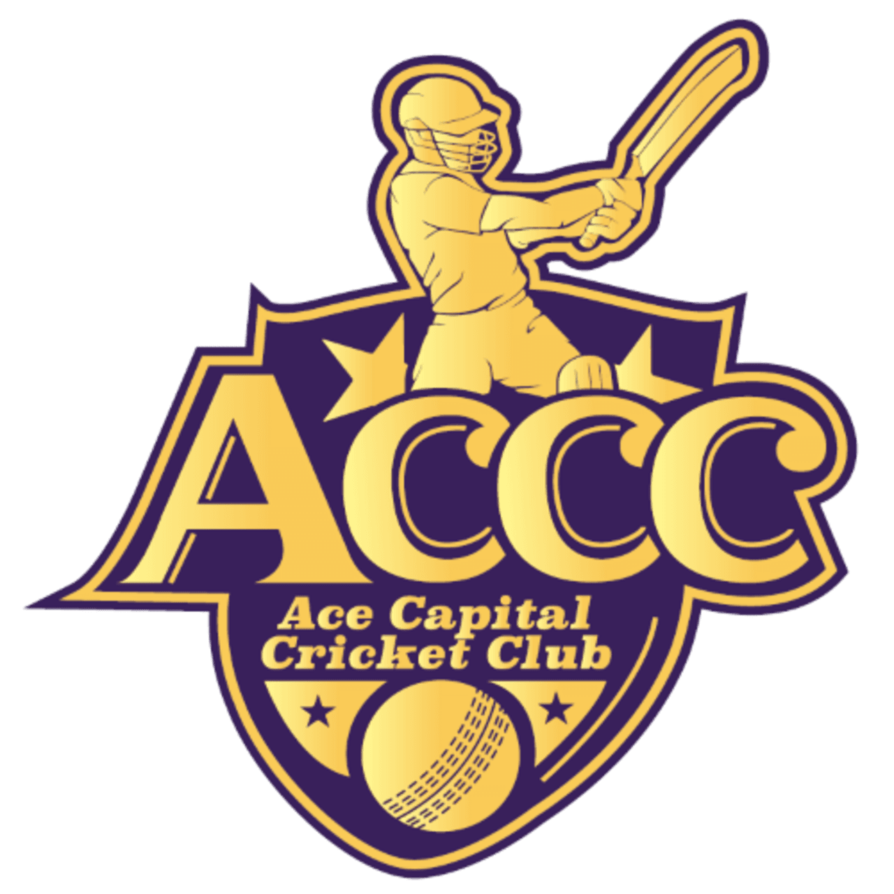 ACE Capital CC team logo