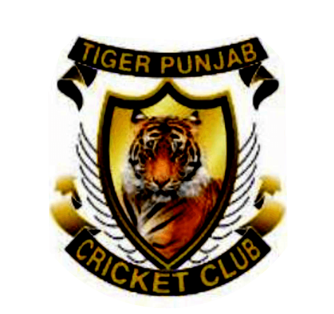 TIGER PUNJAB CRICKET CLUB team logo