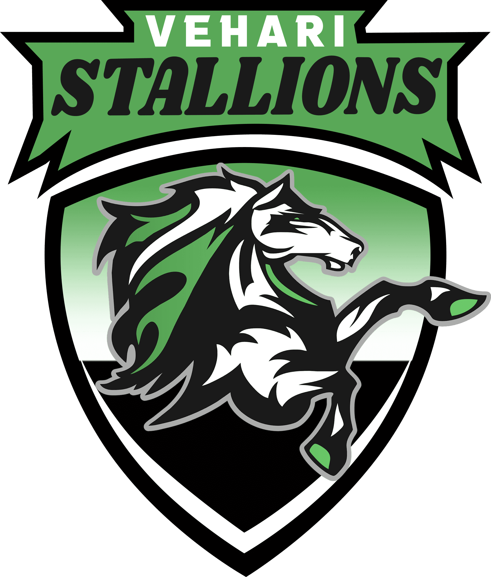 Vehari Stallions