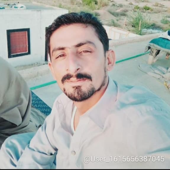 M Shareef