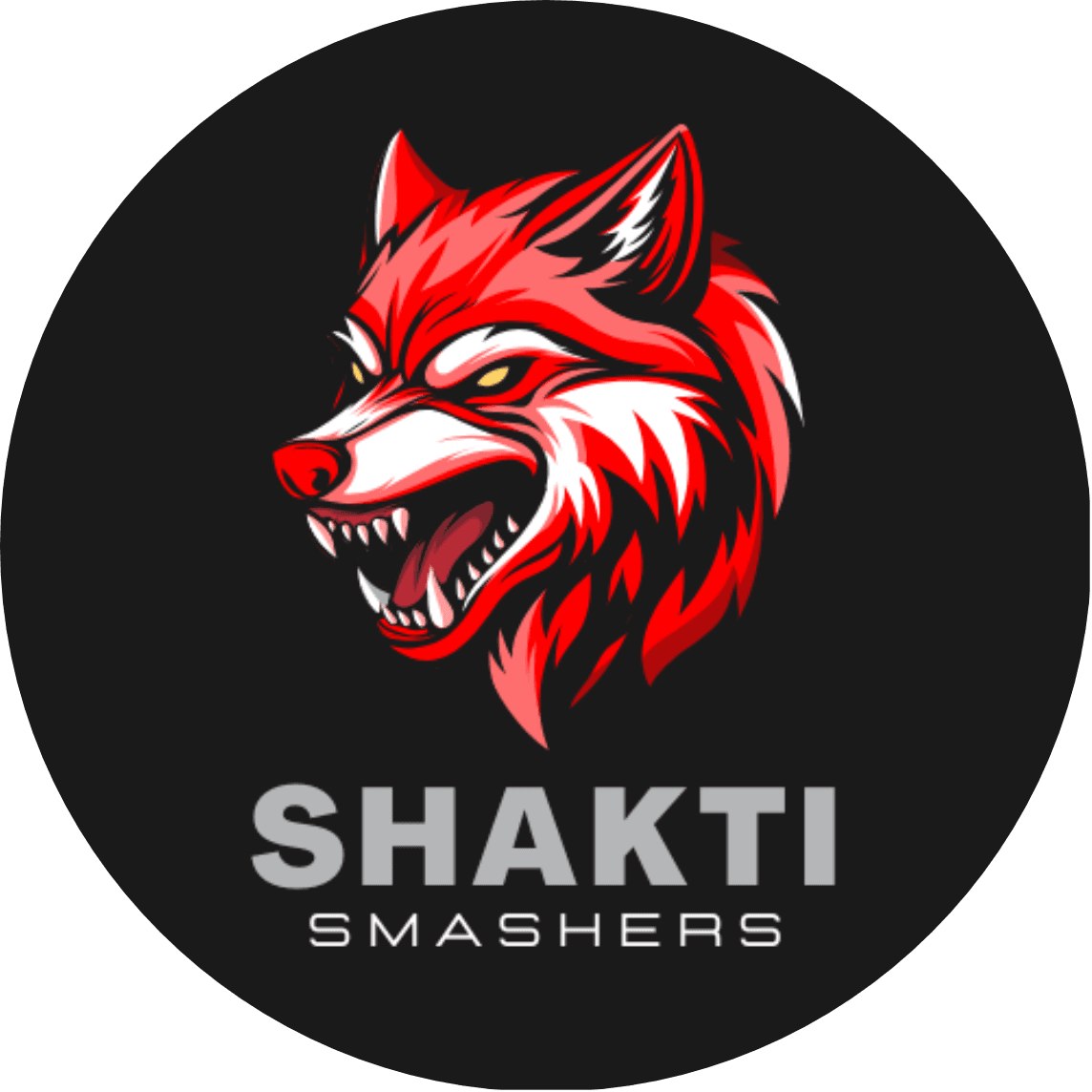 Shakti Smashers