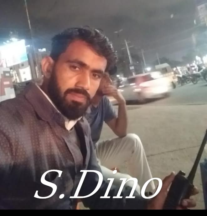 Sain Dino cricket player photo