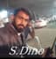 Sain Dino