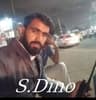 Sain Dino