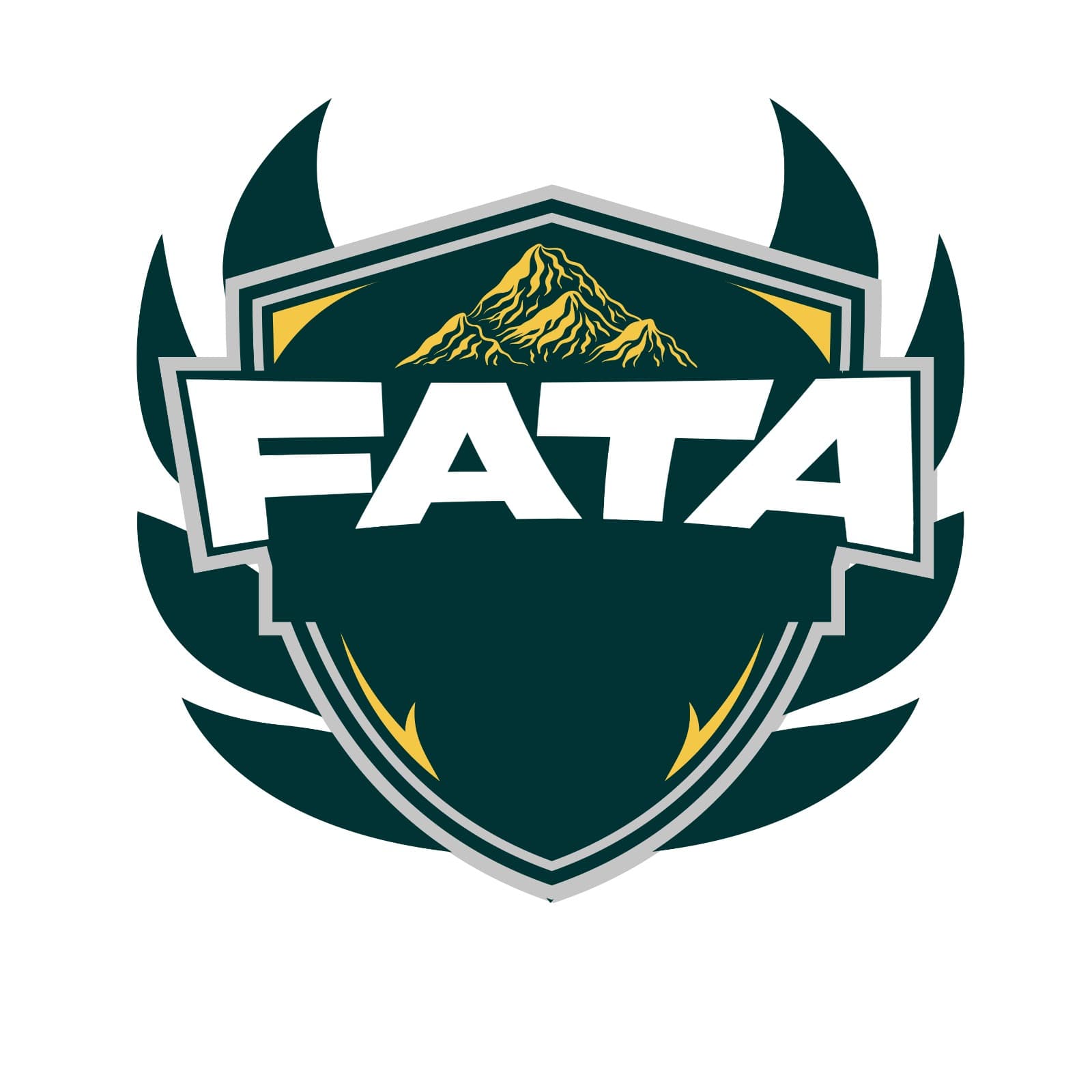 FATA Region U-19
