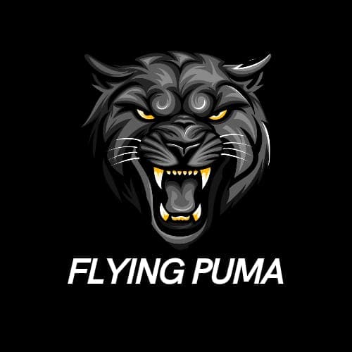 Flying Puma team logo