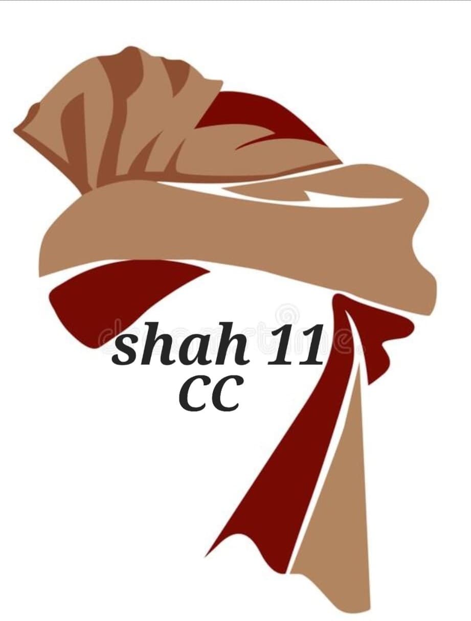 SHAHXI team logo