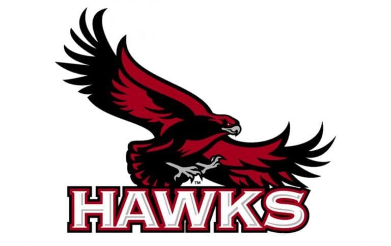 Harbour Hawks team logo