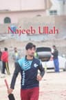 Najeeb