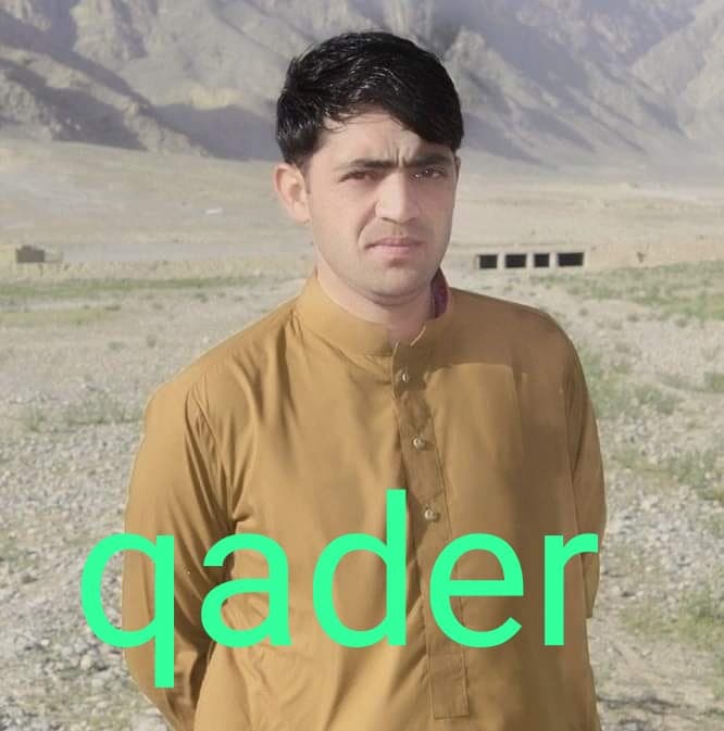Qadeer cricket player profile photo