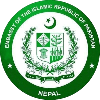 Pakistan Embassy team logo