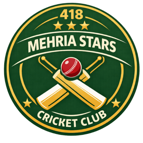 418 Mehriya stars team logo