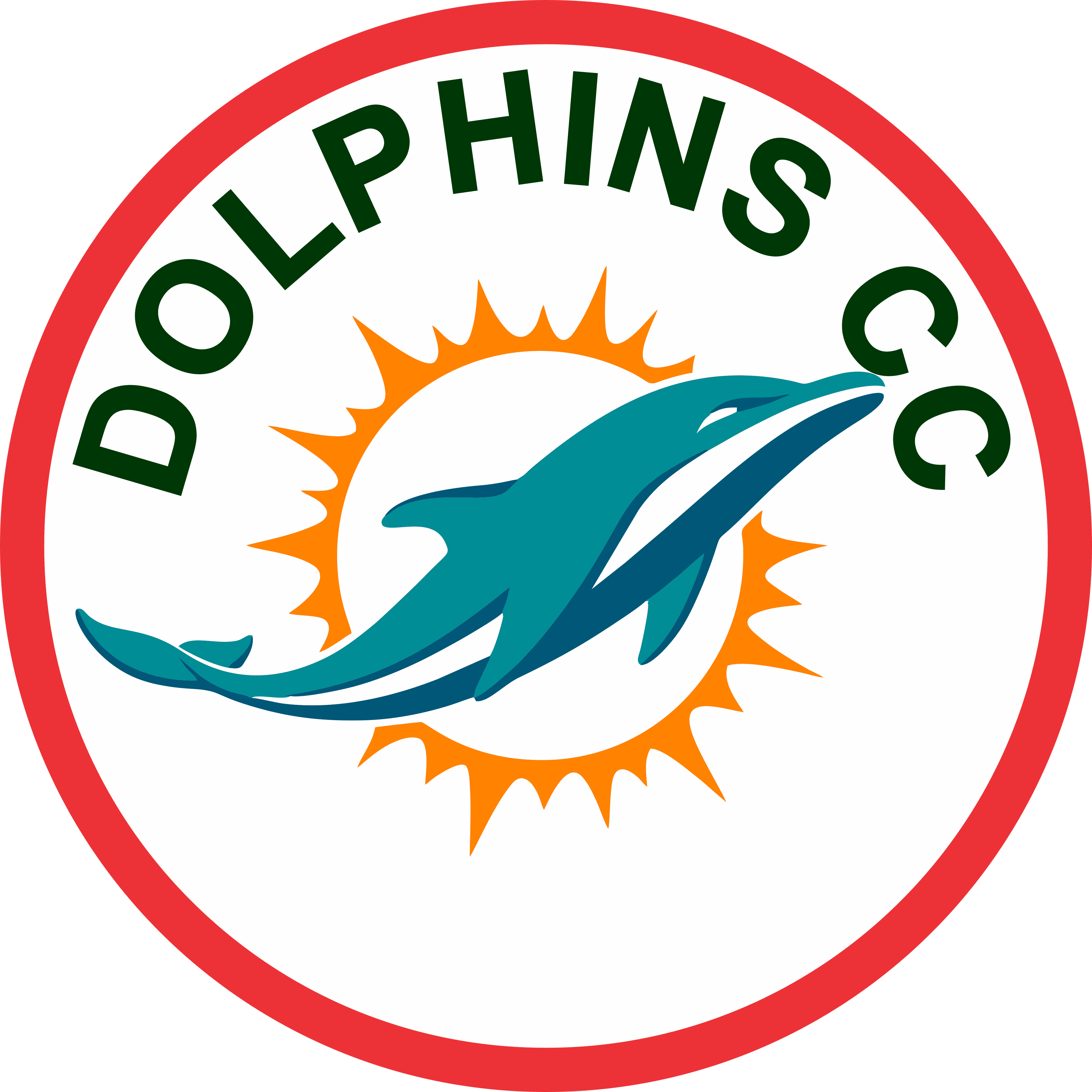 Dolphins CC