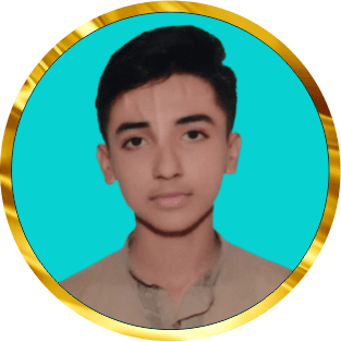 M. Taqi