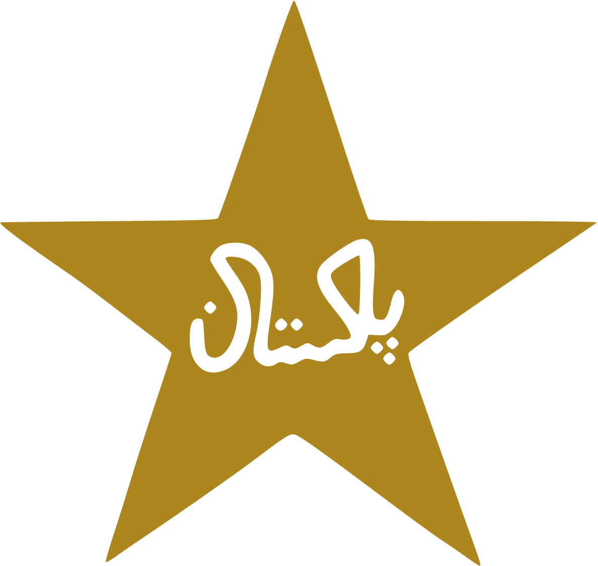 PAKISTAN SHAHEENS team logo