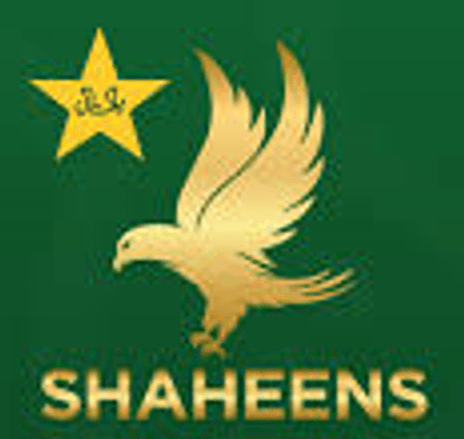 Shaheens
