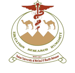 Bolan University Of Medicak & Health Sciences QUETTA team logo