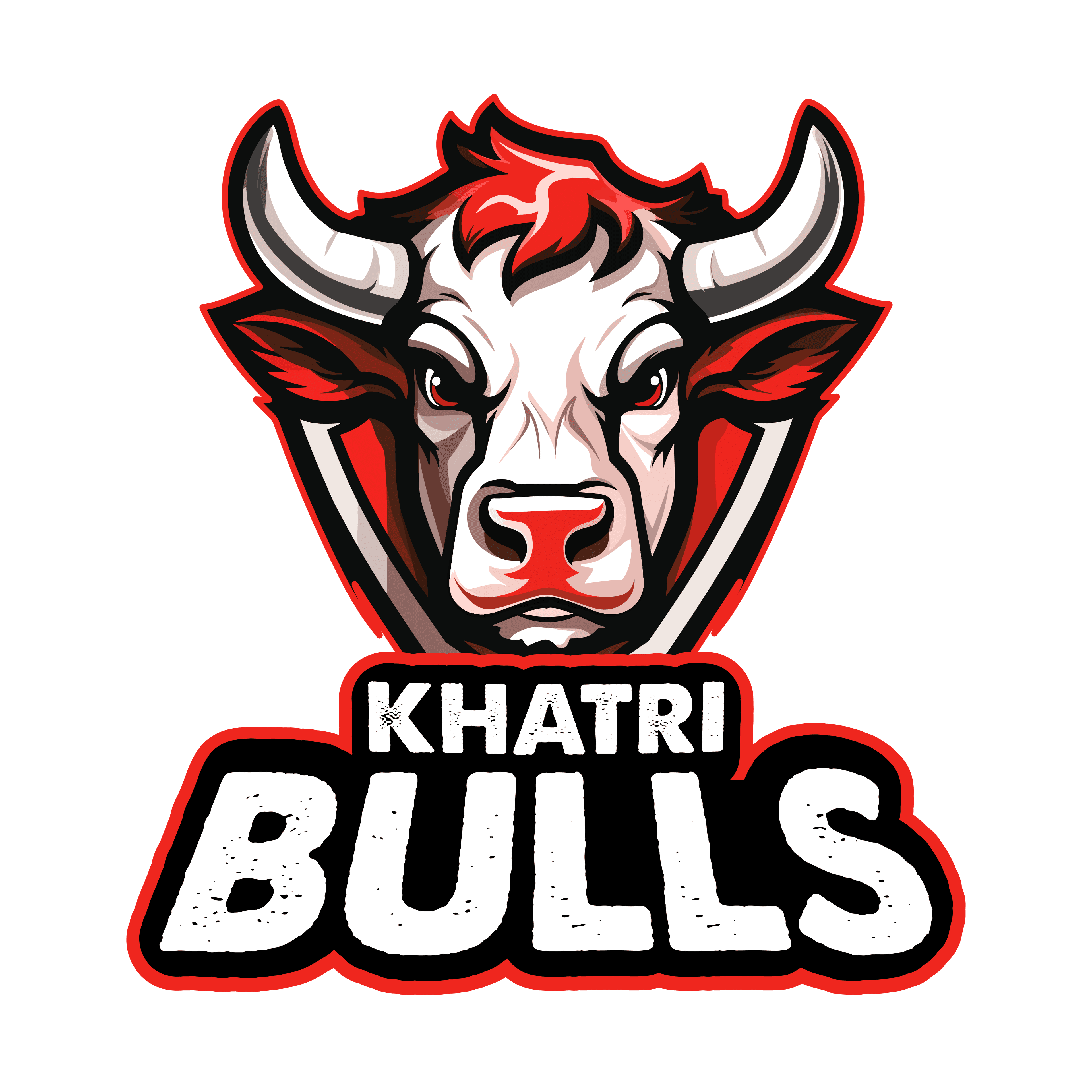 Khatri Bulls