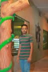 Jahed