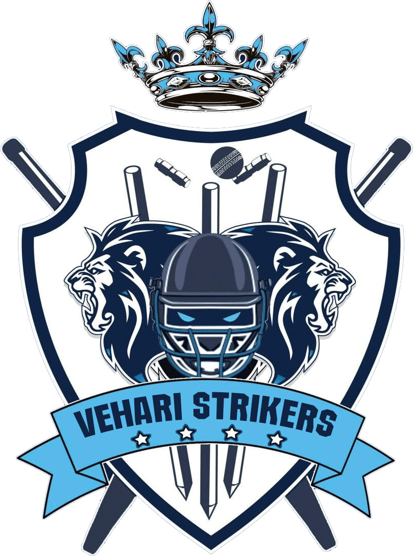 Vehari Strikers