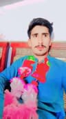 TAHIR ABBAS