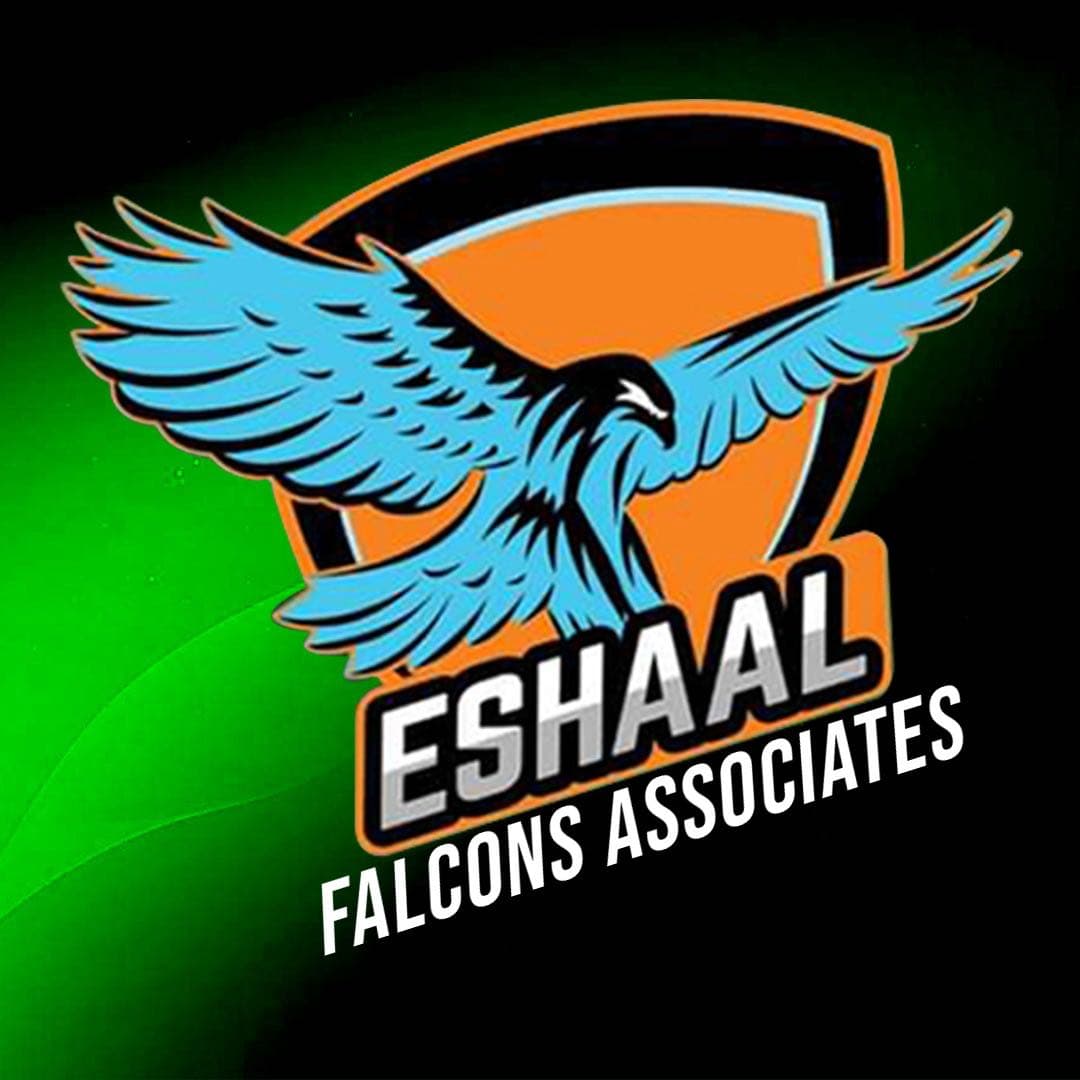 ESHAAL ASSOCIATES team logo