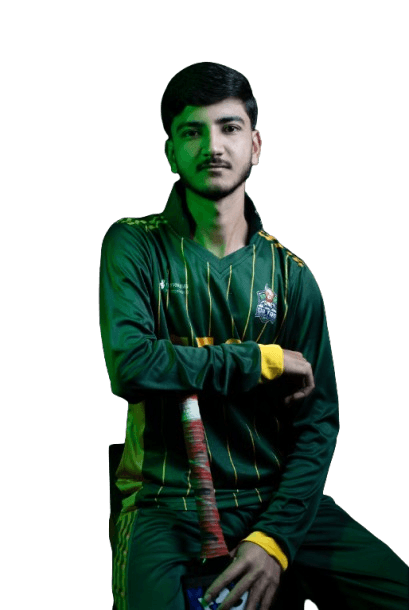 Hassan Irshad