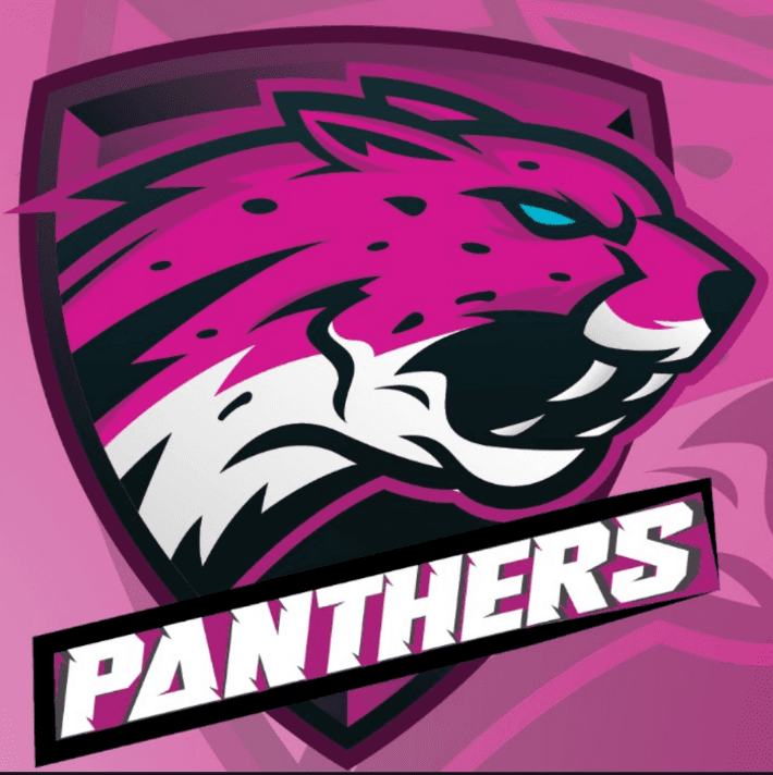 Panthers team logo