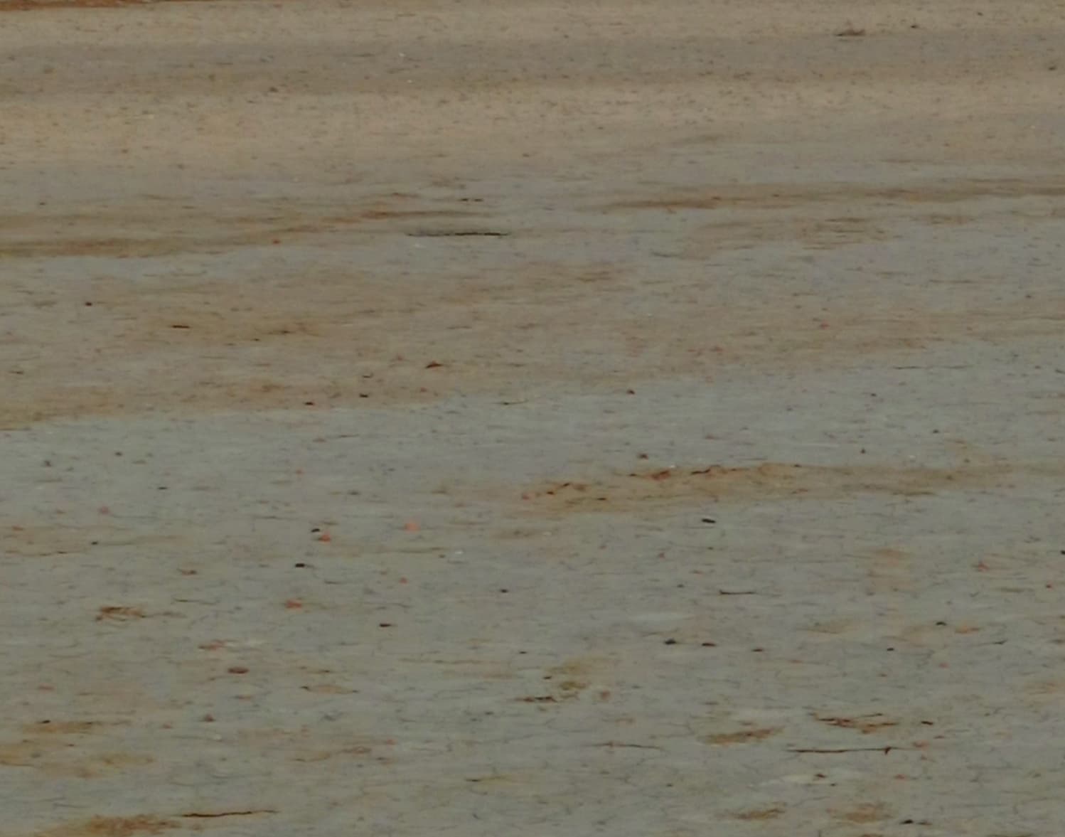 Outfield / Ground