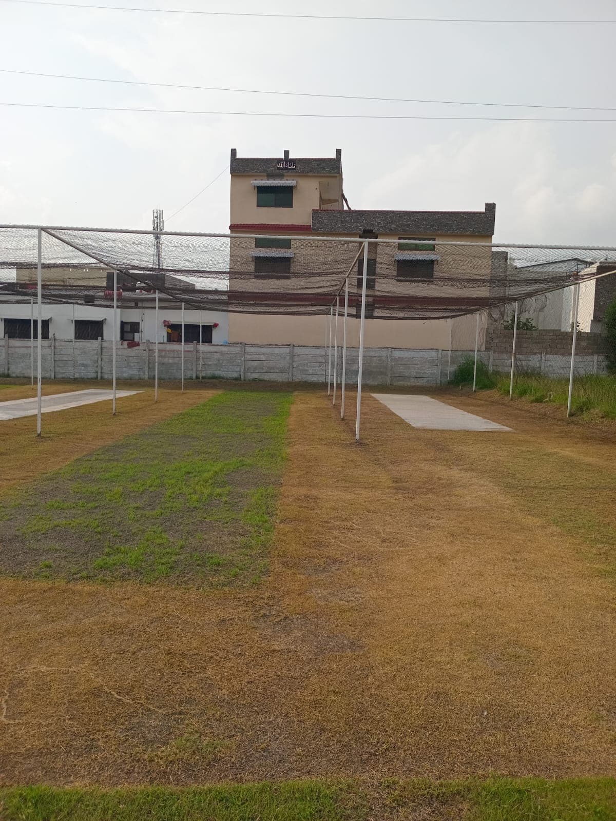 Practice Pitches