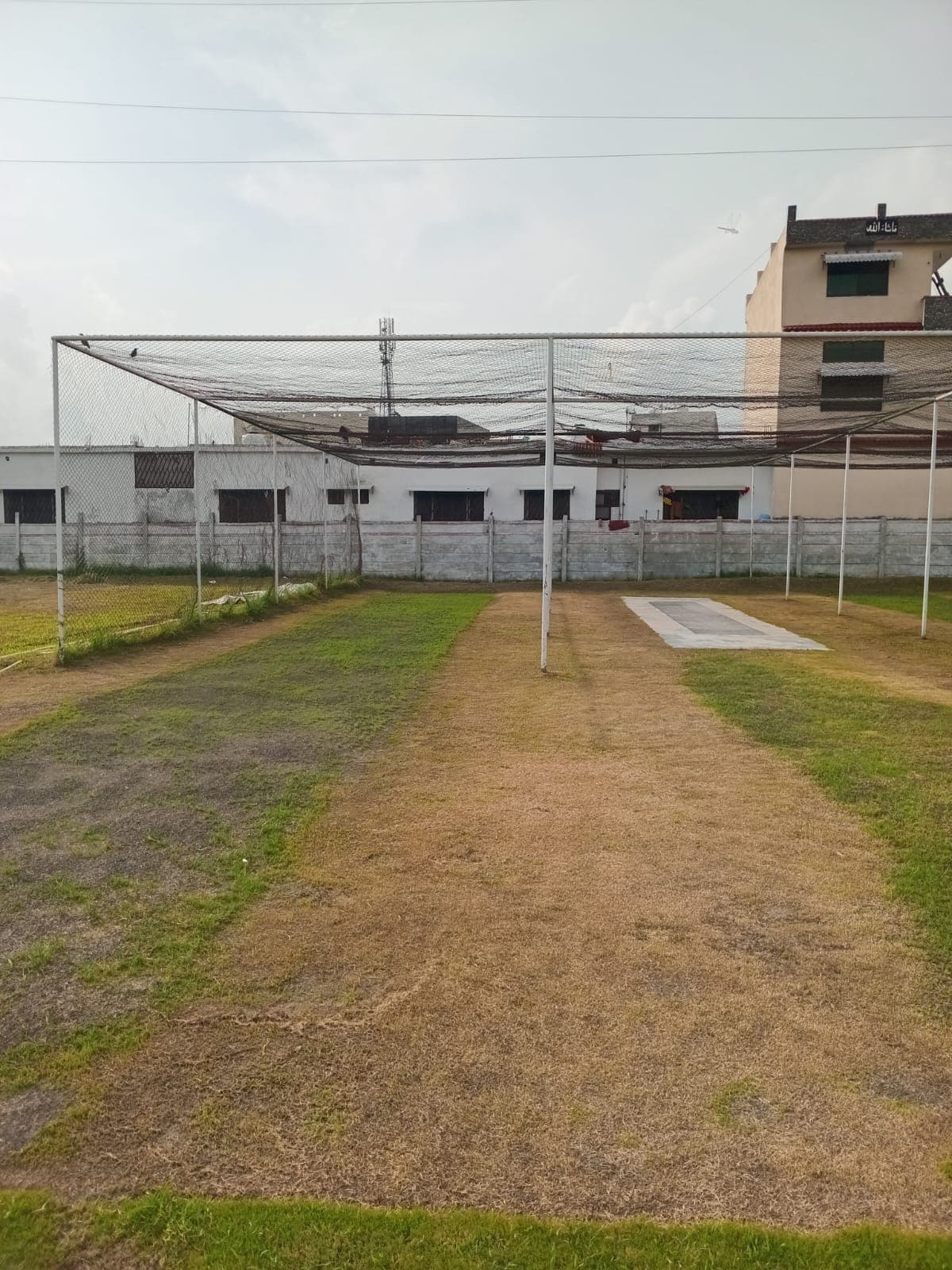 Practice Pitches
