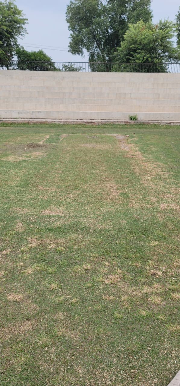 Practice Pitches