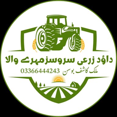 Dawood Zari Services Mehrewala