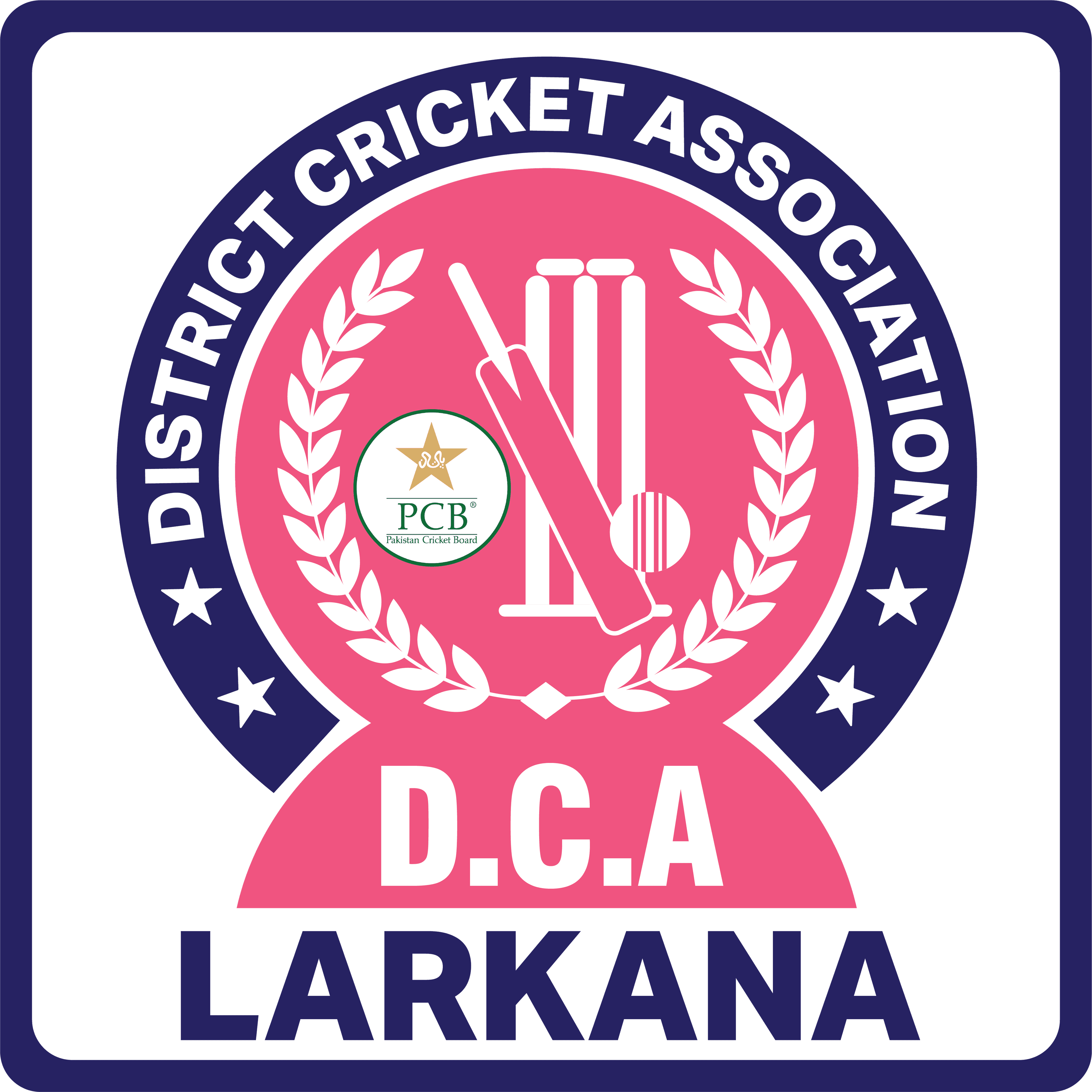 Larkana team logo