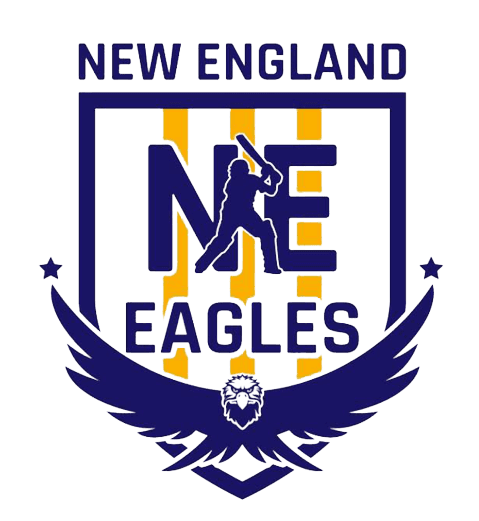 New England Eagles team logo