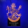Cividate Cricket Club