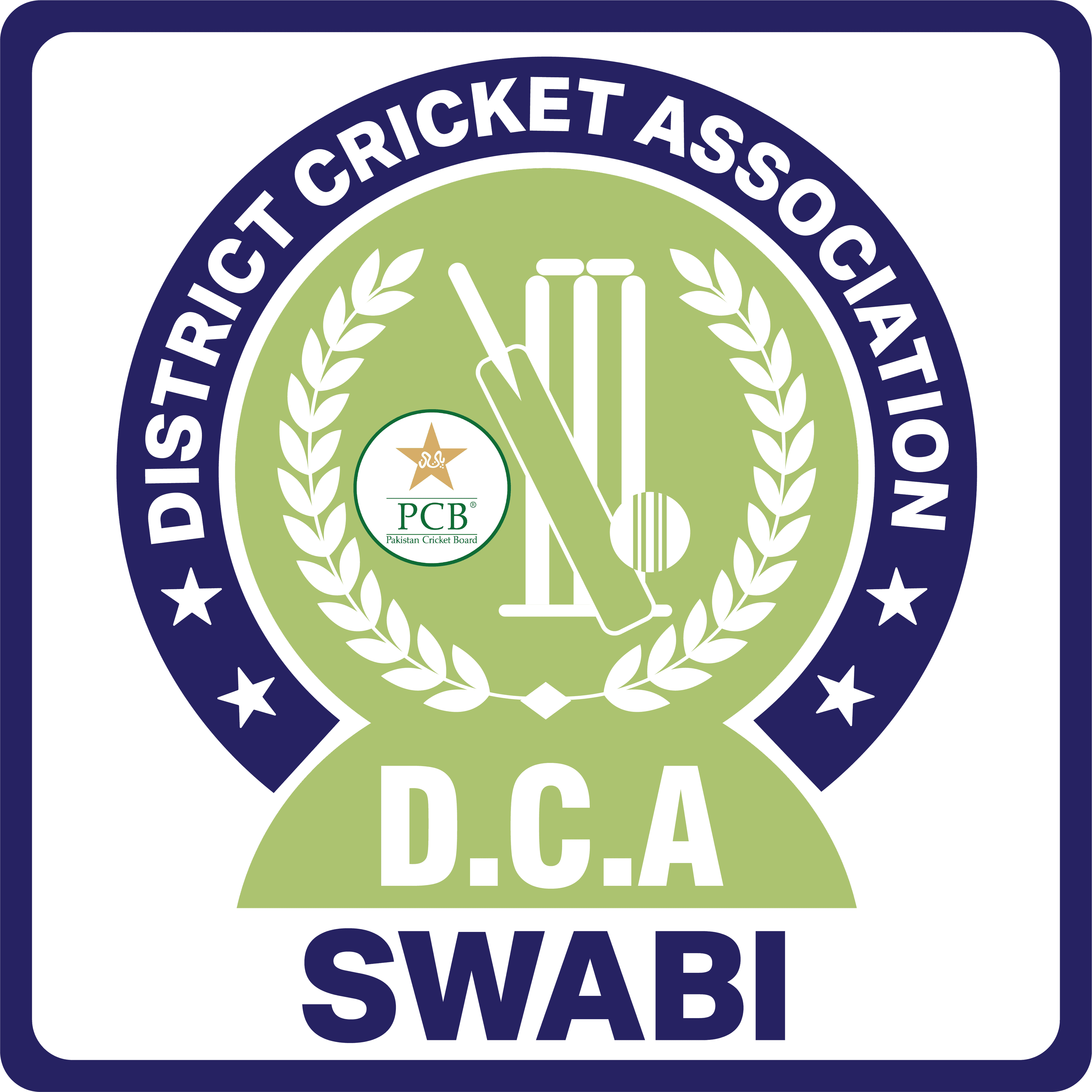 Swabi team logo