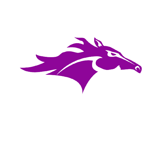 New Jersey Stallions team logo