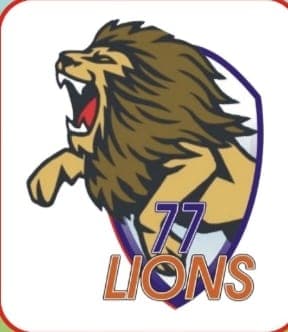 Lions team logo