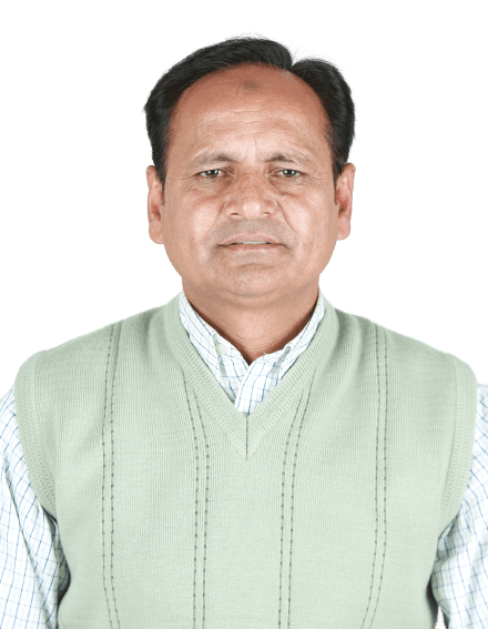 M Siddique