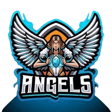 Falcons team logo